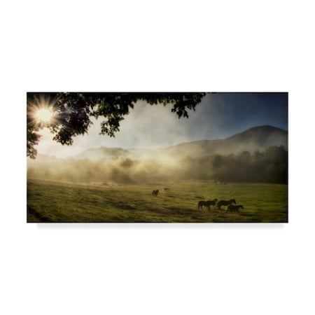 Danny Head 'Running In The Mist' Canvas Art,24x47